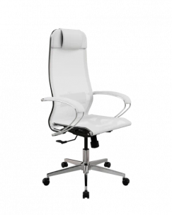 Кресло SynchroSit 10 ErgoLife Set 4/подл.131/осн.Synchro 004