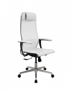 Кресло SynchroSit 10 ErgoLife Set 4/подл.158/осн.Synchro 004