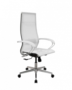 Кресло SynchroSit 10 ErgoLife Set 7/подл.131/осн.Synchro 004