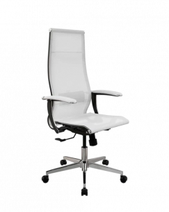 Кресло SynchroSit 10 ErgoLife Set 7/подл.158/осн.Synchro 004