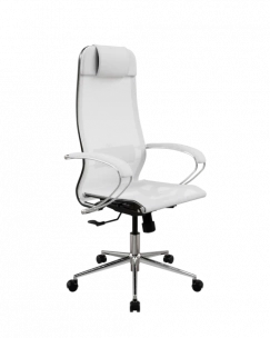 Кресло SynchroSit 10 ErgoLife Set 4/подл.131/осн.Synchro 052